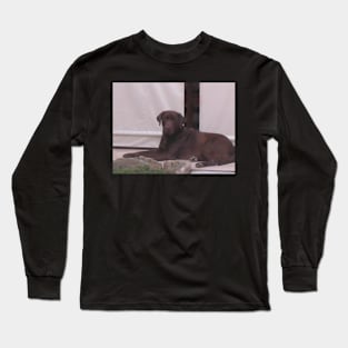 Labrador Retriever Chocolate laying Long Sleeve T-Shirt